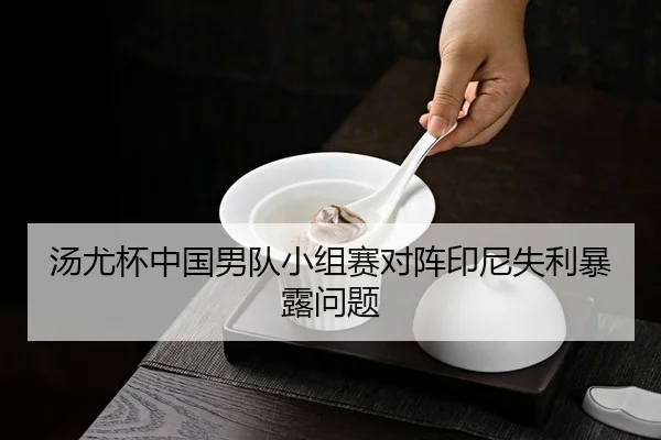 汤尤杯中国男队小组赛对阵印尼失利暴露问题