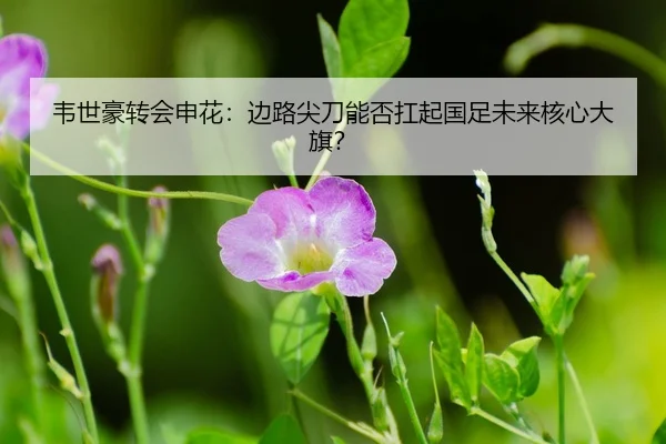 wei-shi-hao-zhuan-hui-shen-hua-bian-lu-jian-dao-neng-fou-kang-qi-guo-zu-wei-lai-he-xin-da-qi-3-479.jpg
