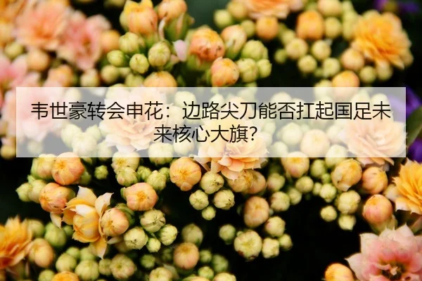 韦世豪转会申花：边路尖刀能否扛起国足未来核心大旗？
