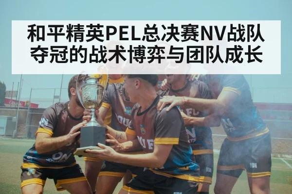 和平精英PEL总决赛NV战队夺冠的战术博弈与团队成长